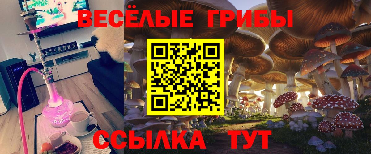 Галлюциногенные грибы GOLDEN TEACHER Богданович