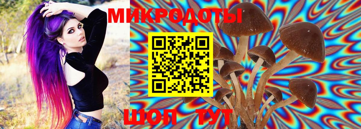 закладка  Галлюциногенные грибы Psilocybine cubensis  Вход с VPN  Богданович 